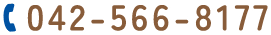 042-566-8177